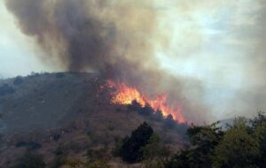 بالگردهای اعزامی برای اطفای آتش در جنگل‌های ارسباران کارایی ندارند